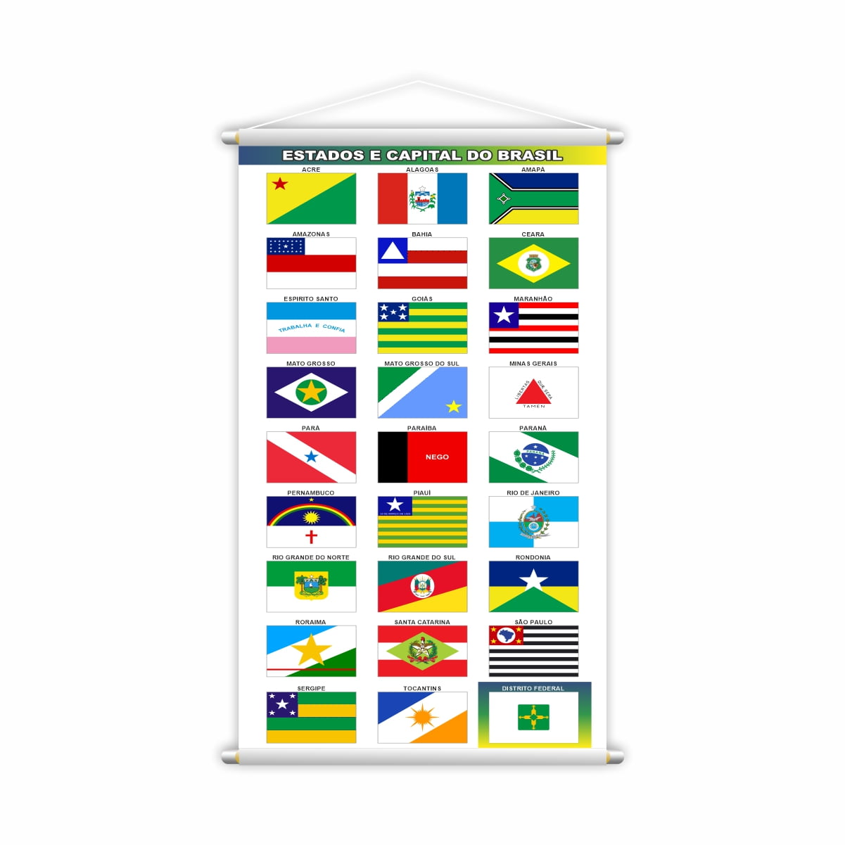 Estados e Capitais do Brasil Bandeira Geografia Banner Escolar Pedagógico