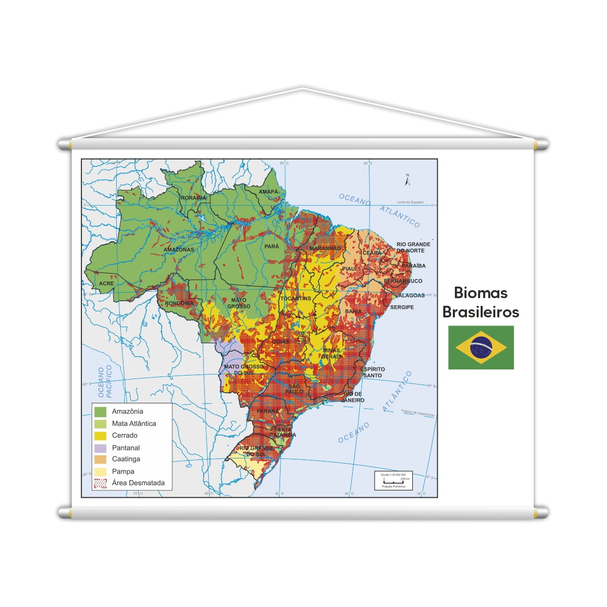 Banner Mapa Escolar Biomas Brasileiros Geografia