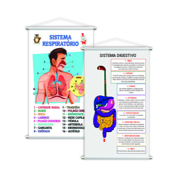 Sistema Respiratório + Digestivo Kit 2 Banners