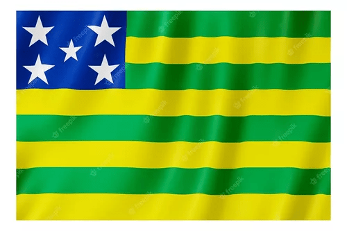 Adesivo Teto Bandeira Estado de Goiás Tradicional 190x110cm