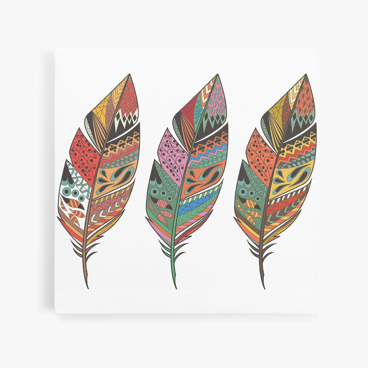 Penas Coloridas Abstrato Minimalista Quadro Canvas