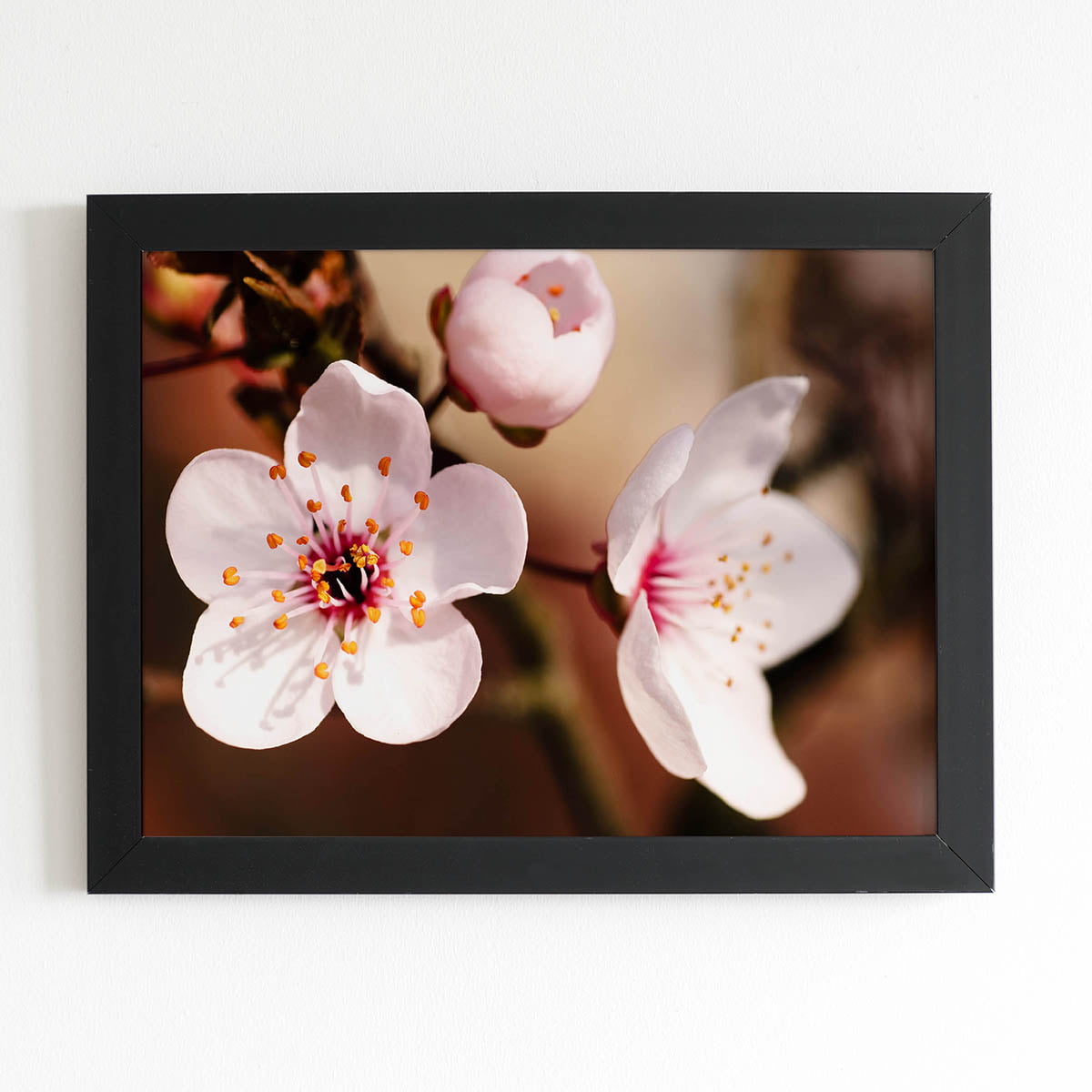 Quadro Cerejeira Okinawa Flores Foto Moldura Preta 60x40cm 