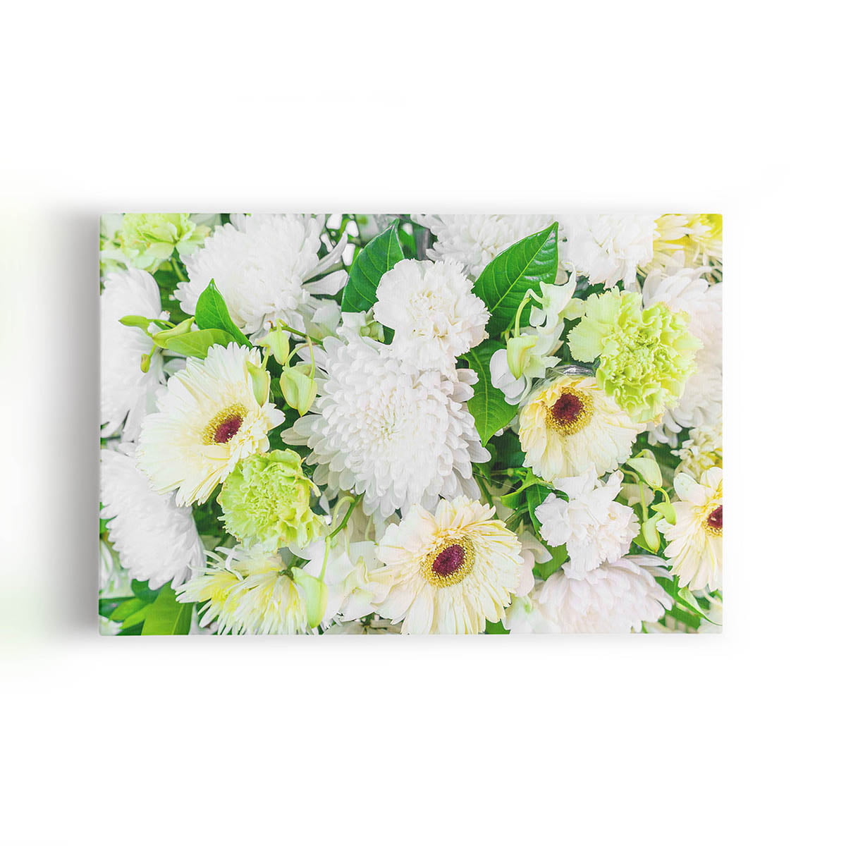 Quadro Crisântemo Branco Flores Fotografia Canvas