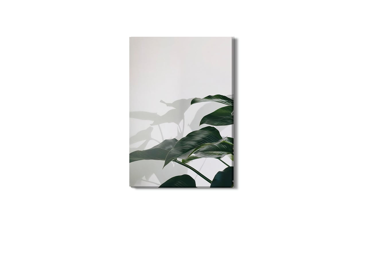 Quadro Folhas de Planta Fotografia Sombra Canvas