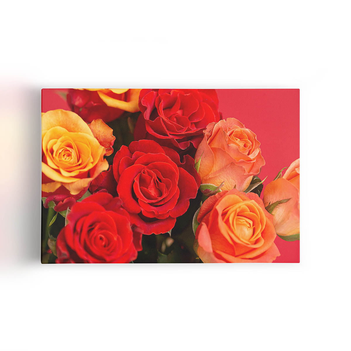 Quadro Rosa Tons de Laranja Foto Decorativo Canvas