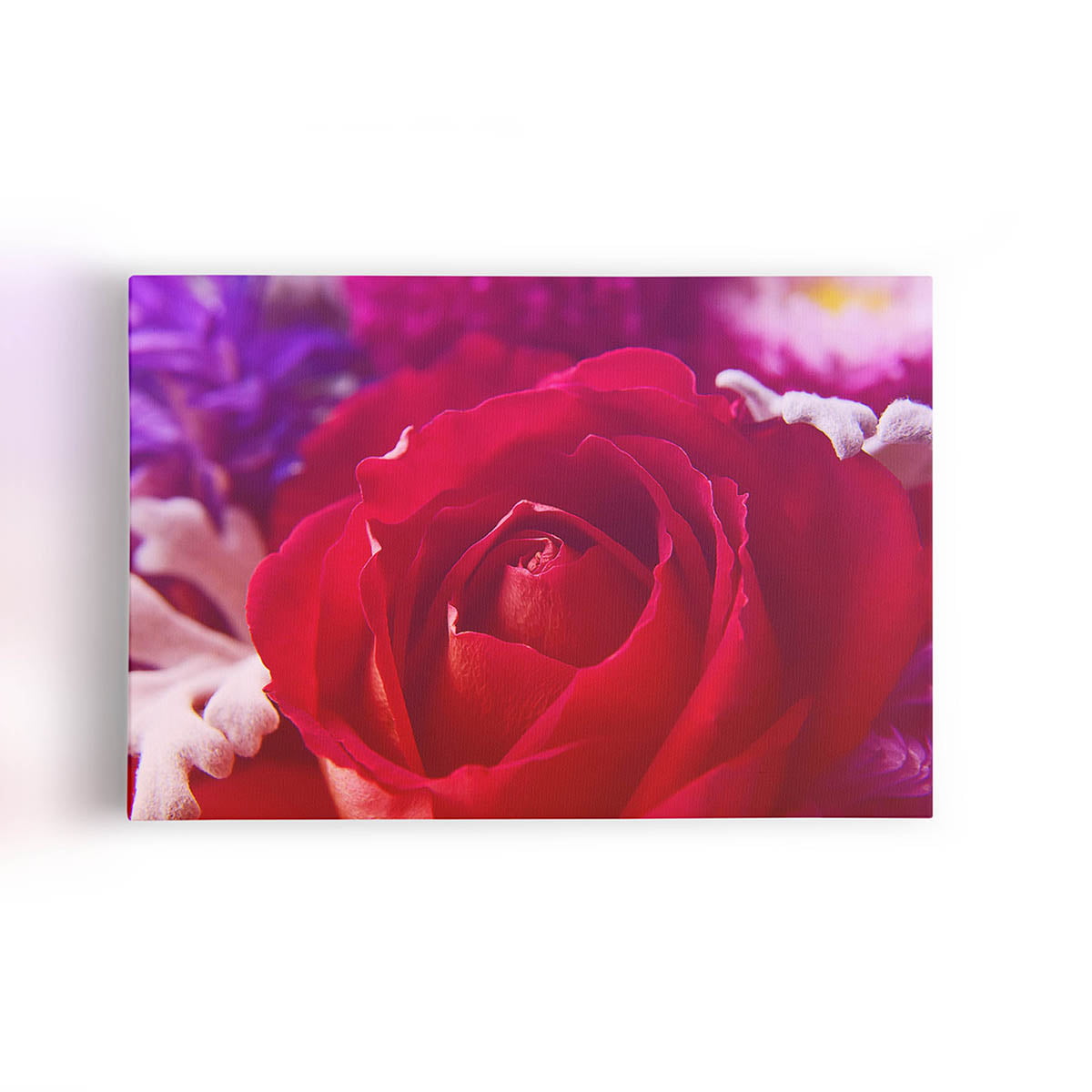 Quadro Rosa Tons de Roxo Foto Decorativo Canvas