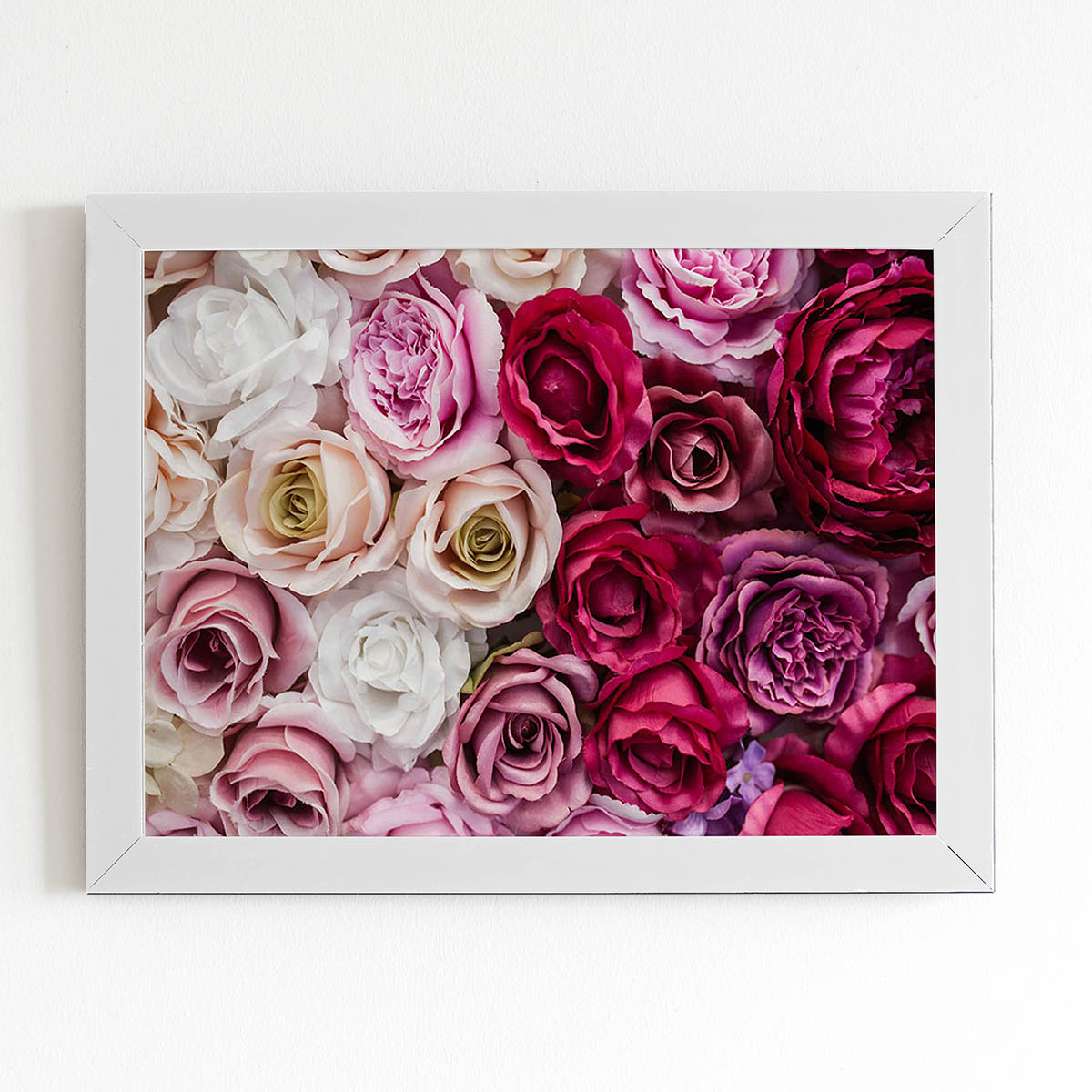 Quadro Rosas Coloridas Degradê Flores Moldura Branca 60x40cm