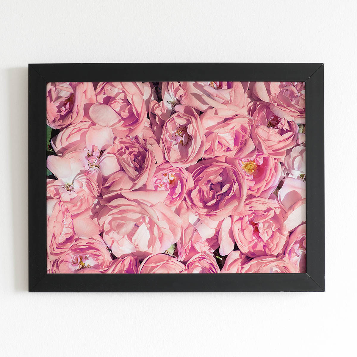 Quadro Rosas Flores Tons de Rosa Moldura Preta 60x40cm 