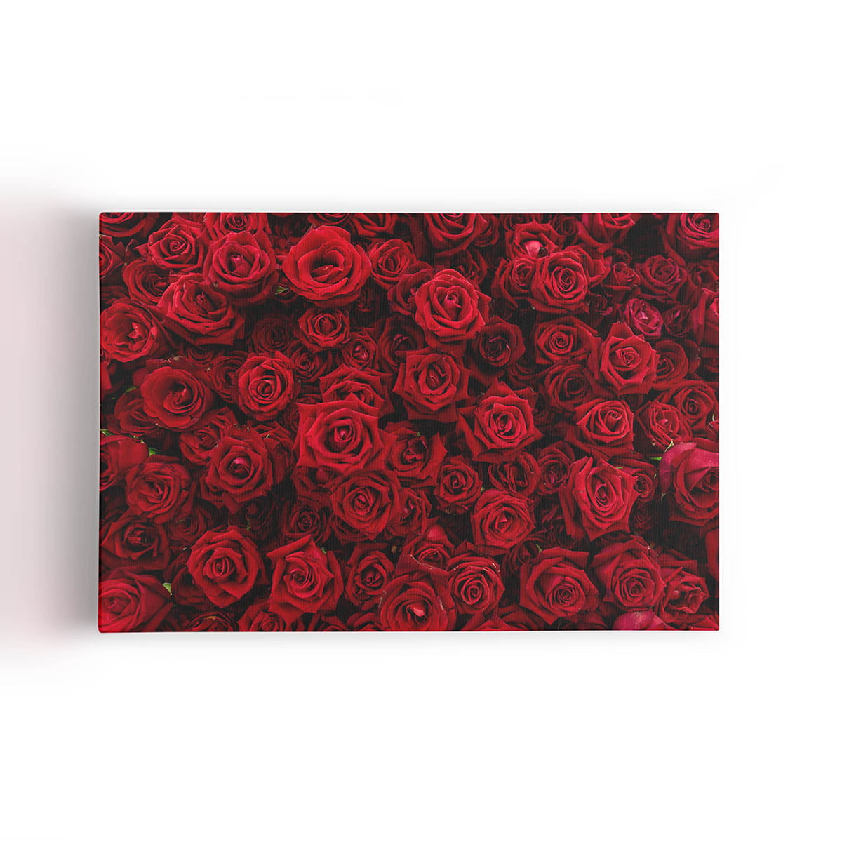 Quadro Rosas Vermelhas Decorativo Fotografia Canvas