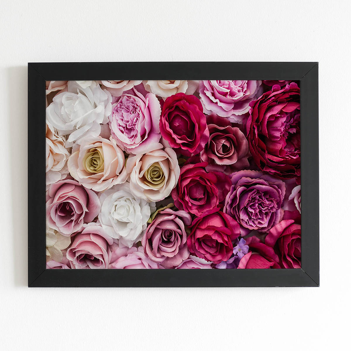 Quadro Rosas Coloridas Degradê Flores Moldura Preta 60x40cm