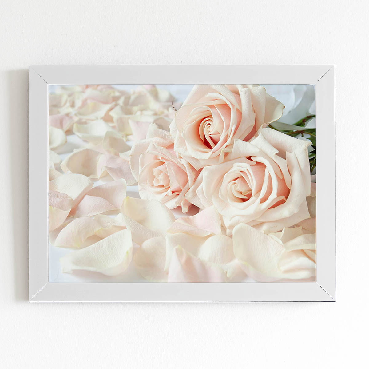 Quadro Rosas Flores Brancas Foto Moldura Branca 60x40cm