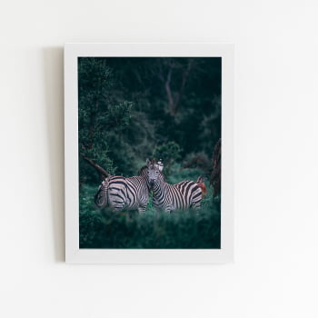 Zebras Floresta Natureza Foto Quadro Moldura Branca 60x40cm