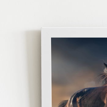Cavalo Correndo Animais Foto Quadro Moldura Branca 60x40cm