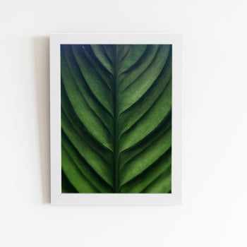 Folha Planta Natureza Verde Quadro Moldura Branca 60x40cm