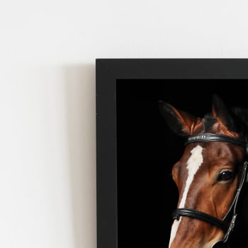Cavalo Animais Fotografia Quadro Moldura Preta 60x40cm
