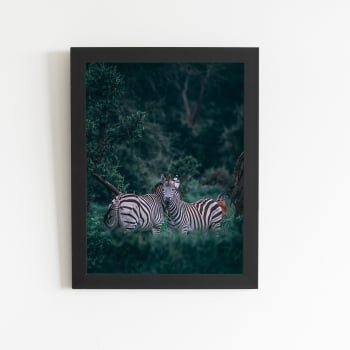 Zebras Floresta Natureza Foto Quadro Moldura Preta 60x40cm