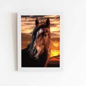 Cavalo Animais Pôr do Sol Quadro Moldura Branca 60x40cm