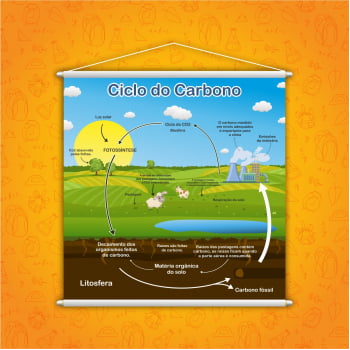 Banner Pedagógico Ciclo do Carbono Ilustrado 120x120cm