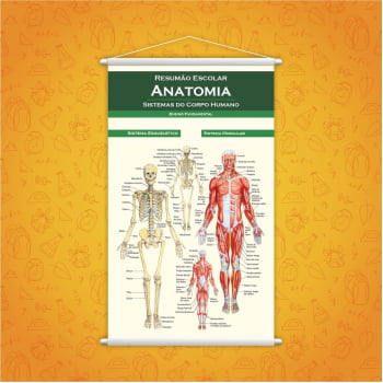 Banner Resumão de Anatomia para Estudantes de Medicina Pedagógico Didático