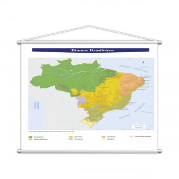 Banner Mapa Escolar Biomas Brasileiros 130x100cm