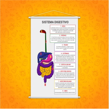 Banner Pedagógico Escolar Sistema Digestivo Anatomia