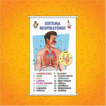 Banner Pedagógico Escolar Sistema Respiratório Aprendizado Visual