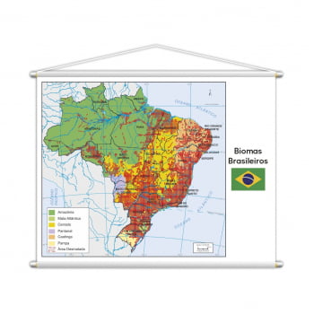 Banner Mapa Escolar Biomas Brasileiros Geografia