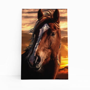 Cavalo Animais Fotografia Pôr do Sol Quadro Canvas 