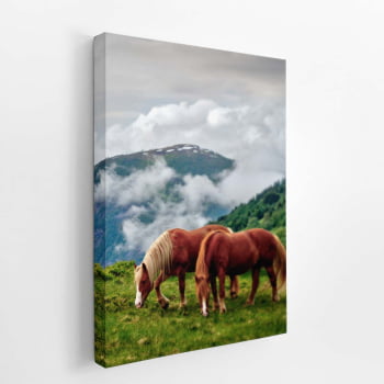 Cavalos Montanhas Nuvens Paisagem Quadro Canvas