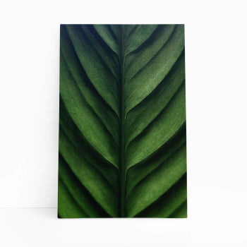 Folha Planta Natureza Verde Foto Quadro Canvas