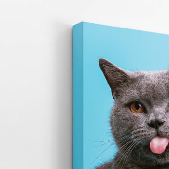 Gato Cinza Fundo Azul Pets Animais Quadro Canvas 