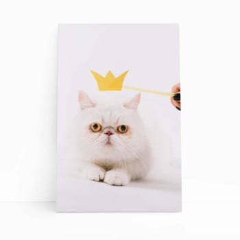 Gato Peludo Branco Coroa Pets Animais Quadro Canvas 