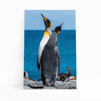 Pinguins Animais Oceano Mar Paisagem Quadro Canvas