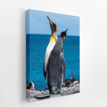 Pinguins Animais Oceano Mar Paisagem Quadro Canvas