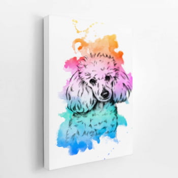 Poodle Cachorro Aquarela Colorido Quadro Canvas 