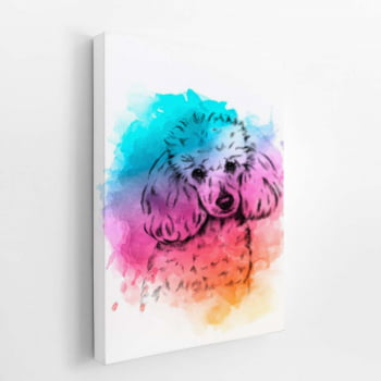 Poodle Cachorro Colorido Aquarela Quadro Canvas