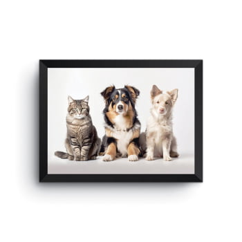 Quadro Cachorro E Gato Fotografia Pets Moldura Preta 30x40cm