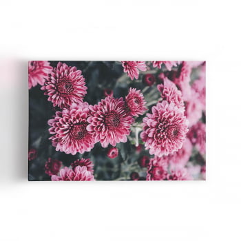 Quadro Chrysanthemum Morifolium Flor Rosa Canvas