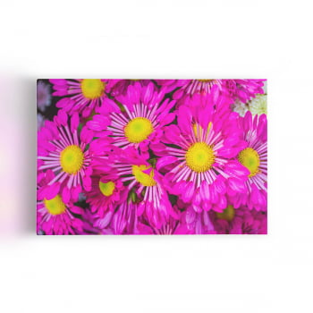 Quadro Crisântemo Rosa Fotografia Flores Canvas