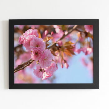 Quadro Flores de Cerejeira Sakura Foto Moldura Preta 60x40cm