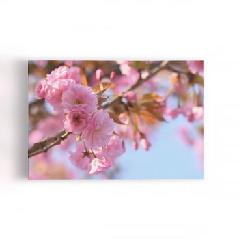 Quadro Flores de Cerejeira Sakura Rosa Foto Canvas
