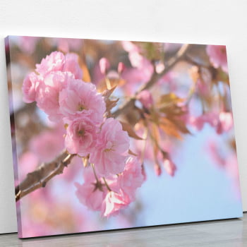 Quadro Flores de Cerejeira Sakura Rosa Foto Canvas