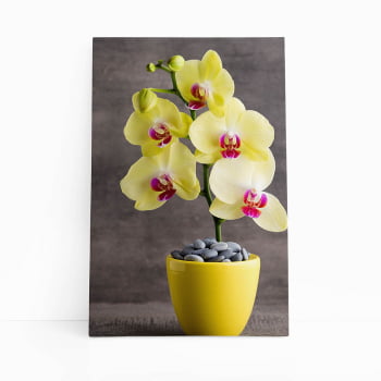 Quadro Orquídeas Amarelas Flor em Vaso Canvas