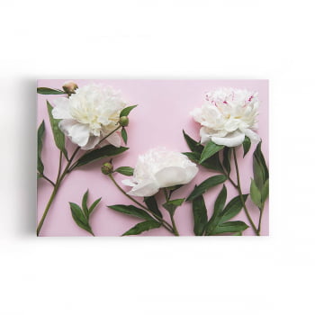 Quadro Peônia Branca Flores em Fundo Rosa Canvas