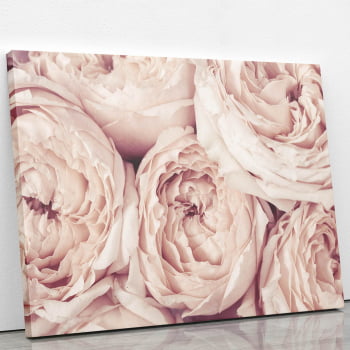 Quadro Peônia Rosa Bege Flor Fotografia Canvas 