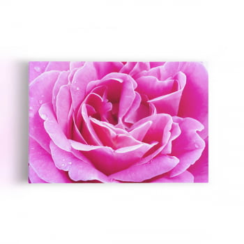 Quadro Rosa Flor Fotografia em Foco Canvas 