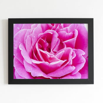 Quadro Rosa Flor Fotografia em Foco Moldura Preta 60x40cm