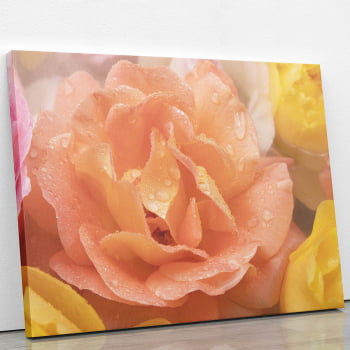 Quadro Rosa Laranja Fotografia Decorativo Canvas