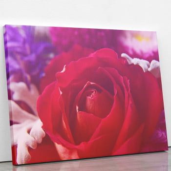 Quadro Rosa Tons de Roxo Foto Decorativo Canvas