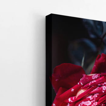 Quadro Rosa Vermelha com Orvalho Fotografia Canvas